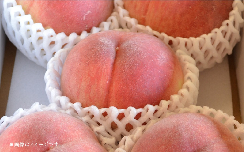 ããã«ãŒã3åå®æäŸ¿ã ã¢ã³ãã¹ã¡ãã³ 5kg ïŒ æ¡ 1kg ïŒ æ¢š 5kg ã2026幎5æäžæ¬ã10æäžæ¬è¿é 次çºéäºå®ã ã¡ãã³ ãã ã¢ã¢ ãªã ãã· åæ¢š æç© æå® ãã«ãŒã å®æäŸ¿ ä¹å· çæ¬ç ããããçº åžžæž©