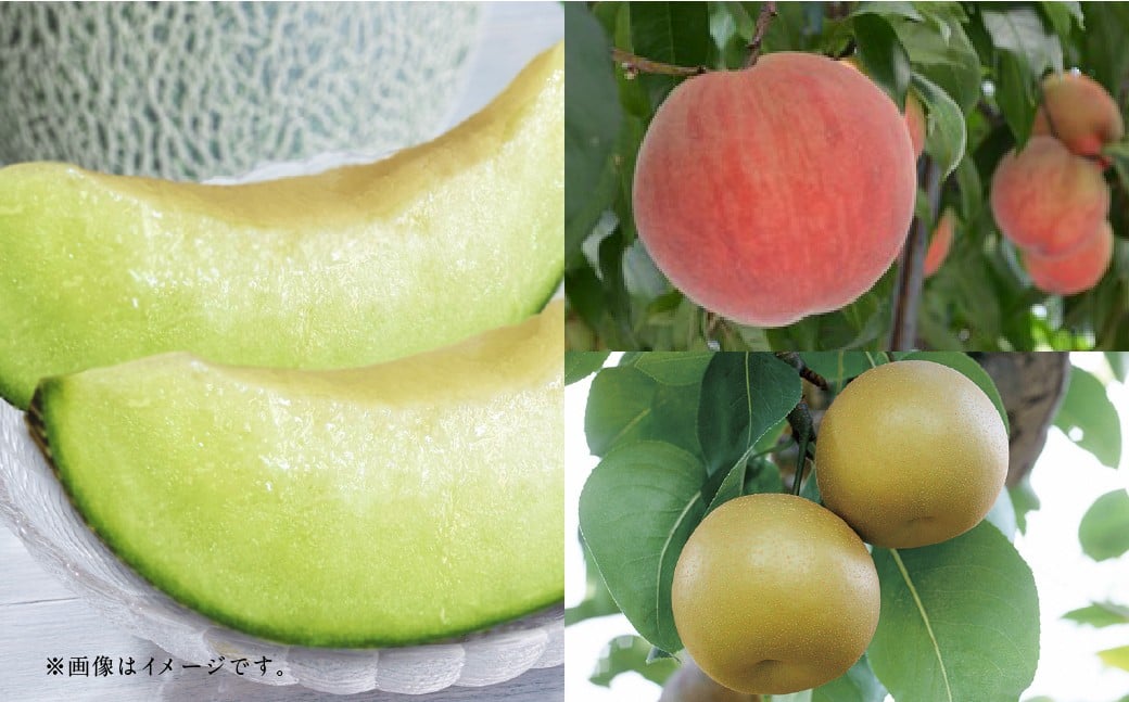 【フルーツ3回定期便】 アンデスメロン 5kg ＋ 桃 1kg ＋ 梨 5kg 【2026年5月中旬〜10月上旬迄順次発送予定】 メロン もも モモ なし ナシ 和梨 果物 果実 フルーツ 定期便 九州 熊本県 あさぎり町 常温