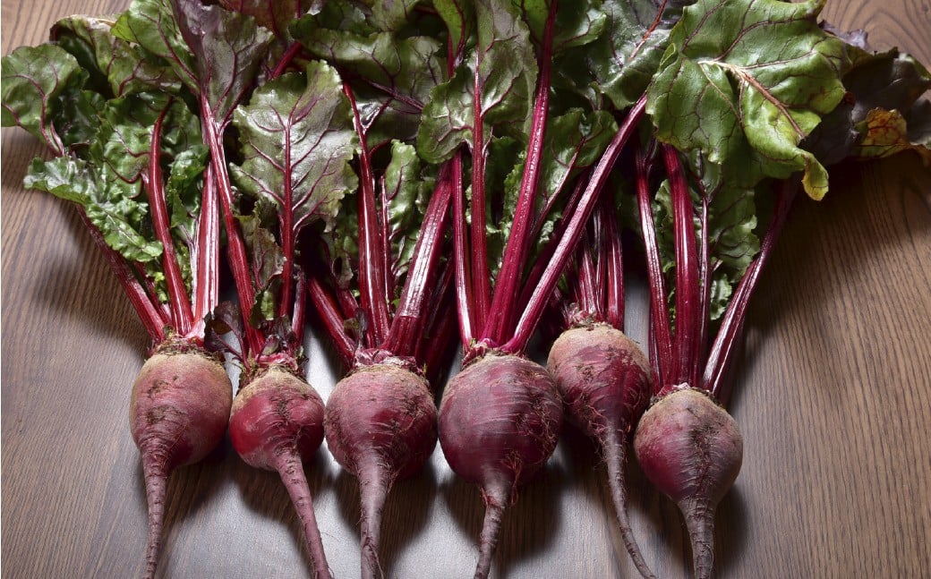 自社農園栽培 生ビーツ2kg ビーツ やさい 野菜 健康 美容 冷蔵 国産 九州 熊本県 あさぎり町
