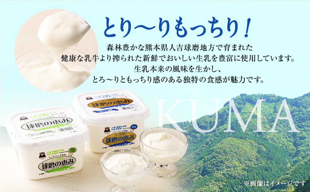 とろ〜り食感!!球磨の恵みヨーグルトセット1kg×4パック (加糖・砂糖不使用 各2パック)