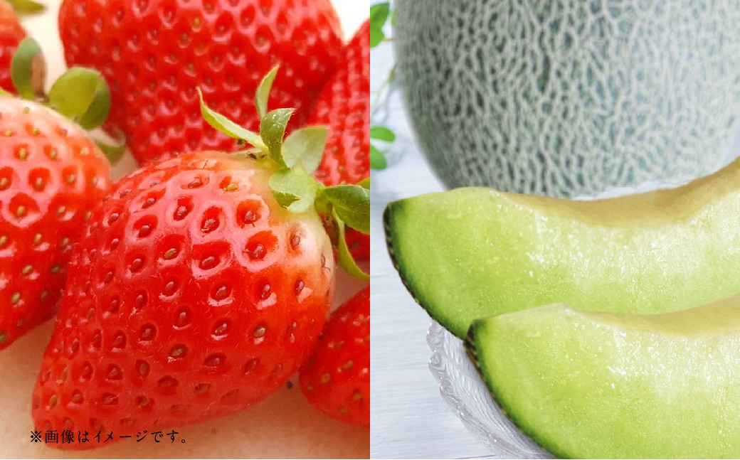 【フルーツ2回定期便】 球磨のいちご 1kg ＋ アンデスメロン 5kg 【2026年1月中旬〜5月下旬迄順次発送予定】 苺 いちご イチゴ メロン 果物 果実 フルーツ 定期便 九州 熊本県 あさぎり町 冷蔵