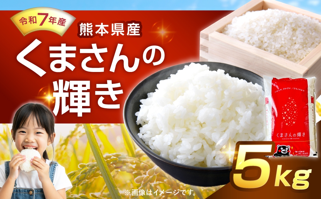 【 令和7年産 】 くまさんの輝き 5kg 人吉球磨 九州 粘り 甘み 旨み お米 米 コメ こめ 白米 白飯 ご飯 米粒 飯 国産 熊本県産 濃厚