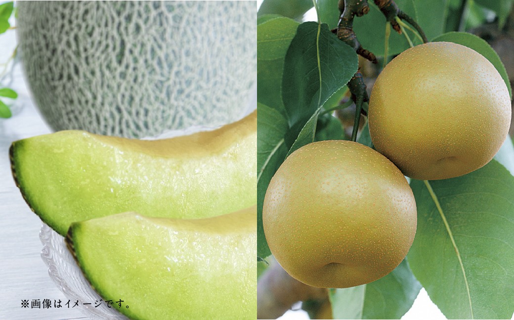 【フルーツ2回定期便】　アンデスメロン 5kg ＋ 梨 5kg 【2026年5月上旬〜10月上旬迄順次発送予定】 メロン なし ナシ 和梨 果物 果実 フルーツ 定期便 九州 熊本県 あさぎり町 冷蔵