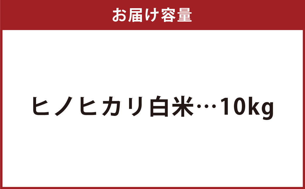 【令和7年産】 特別栽培米ヒノヒカリ （精米） 10kg 予約 新米 ヒノヒカリ 精米 井上農園 米 お米 白米 【2025年10月上旬～12月下旬迄発送予定】