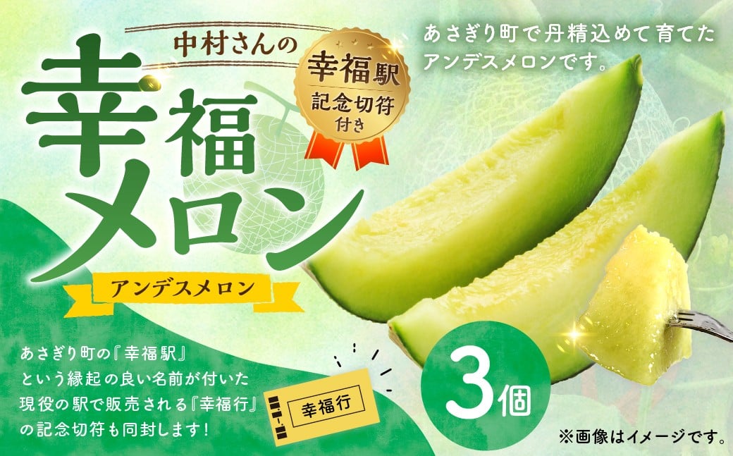 中村さんの幸福メロン（アンデスメロン） 3個 メロン 果物 フルーツ 常温 熊本県 あさぎり町 【2026年4月下旬～5月上旬まで発送予定】