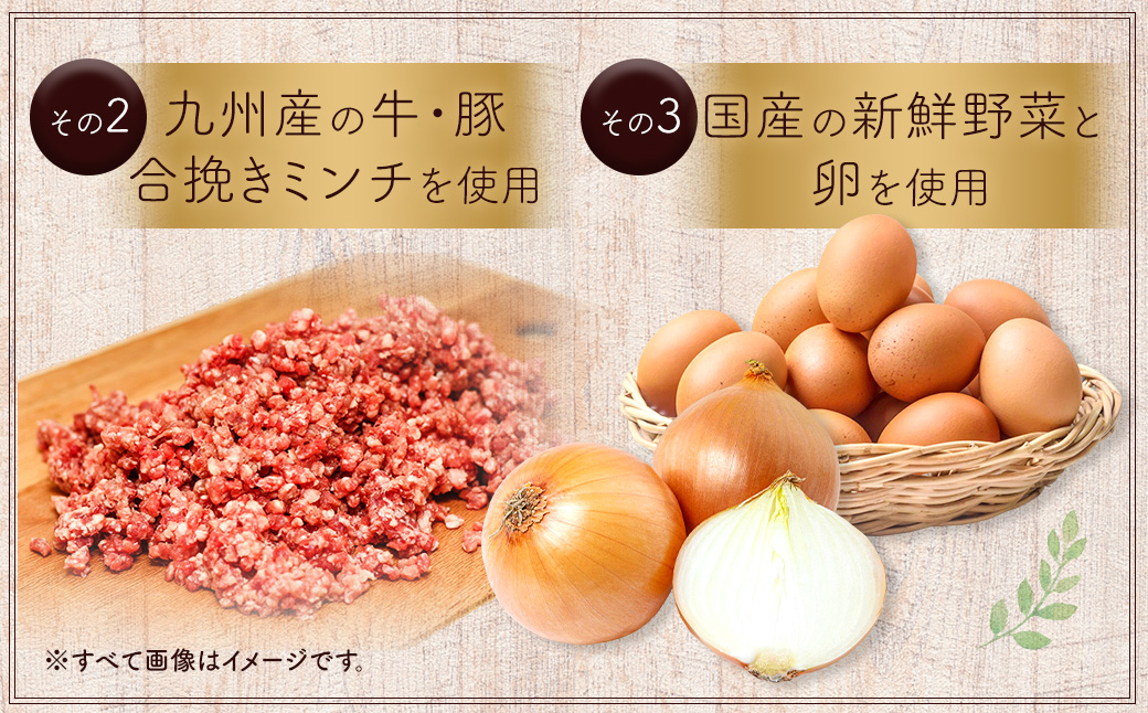 豆腐ハンバーグセット 100g×15個入 冷凍 レンジ・湯煎で簡単 小分け 12,000円 国産 熊本県あさぎり町