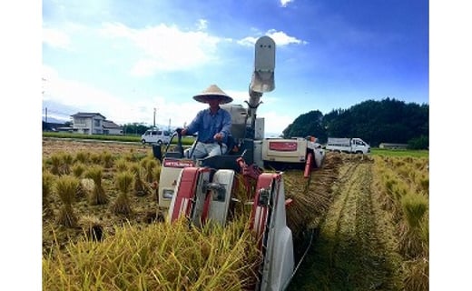 令和7年産 熊本県あさぎり町産のお米 ヒノヒカリ10kg（5kg×2袋） お米 米 ライス おにぎり 弁当 お弁当 国産 九州 熊本県 あさぎり町 常温