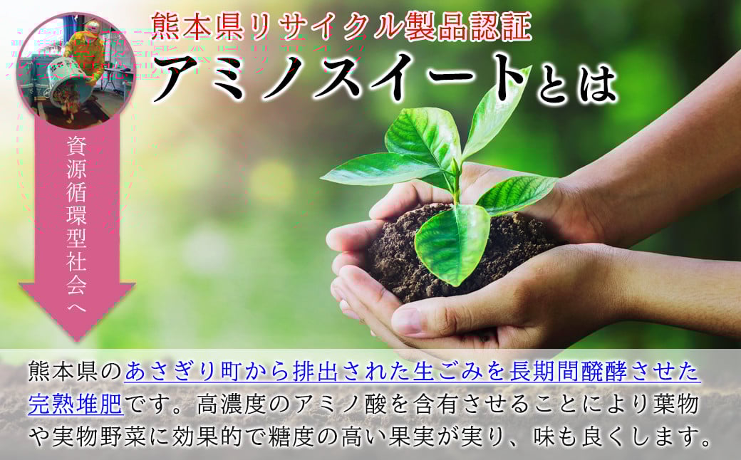 完熟堆肥 アミノスイート 44kg (11kg×4袋) 熊本県リサイクル製品認証 土壌改良 肥料 堆肥 野菜 家庭菜園 造園 庭木 植木 果樹 観葉植物