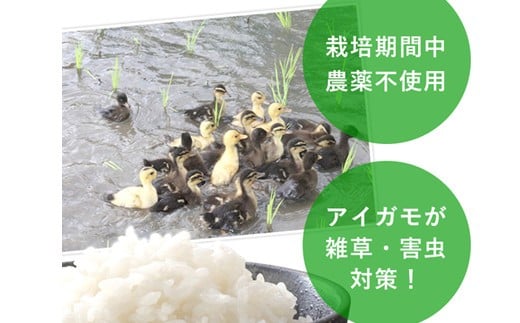 莉、蜥7蟷エ逕」 蜷磯エィ霎イ豕慕アウ 繝偵ヮ繝偵き繝ェ 邇邀ウ 5kgテ1 邀ウ 縺顔アウ 縺薙a 繝ゥ繧、繧ケ 霎イ阮ャ繝サ蛹門ュヲ閧・譁吩ク堺スソ逕ィ 蜷磯エィ霎イ豕 蝗ス逕」 荵晏キ 辭頑悽逵檎肇 蟶ク貂ゥ