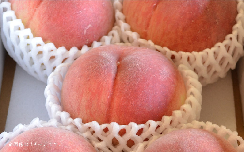 ããã«ãŒã3åå®æäŸ¿ã æ¡ 1kg ïŒ æ¢š 5kg ïŒ æ 2kg ã2026幎5æäžæ¬ã10æäžæ¬è¿é 次çºéäºå®ã ãã ã¢ã¢ ãªã ãã· åæ¢š ãã æç© æå® ãã«ãŒã å®æäŸ¿ ä¹å· çæ¬ç ããããçº åžžæž©