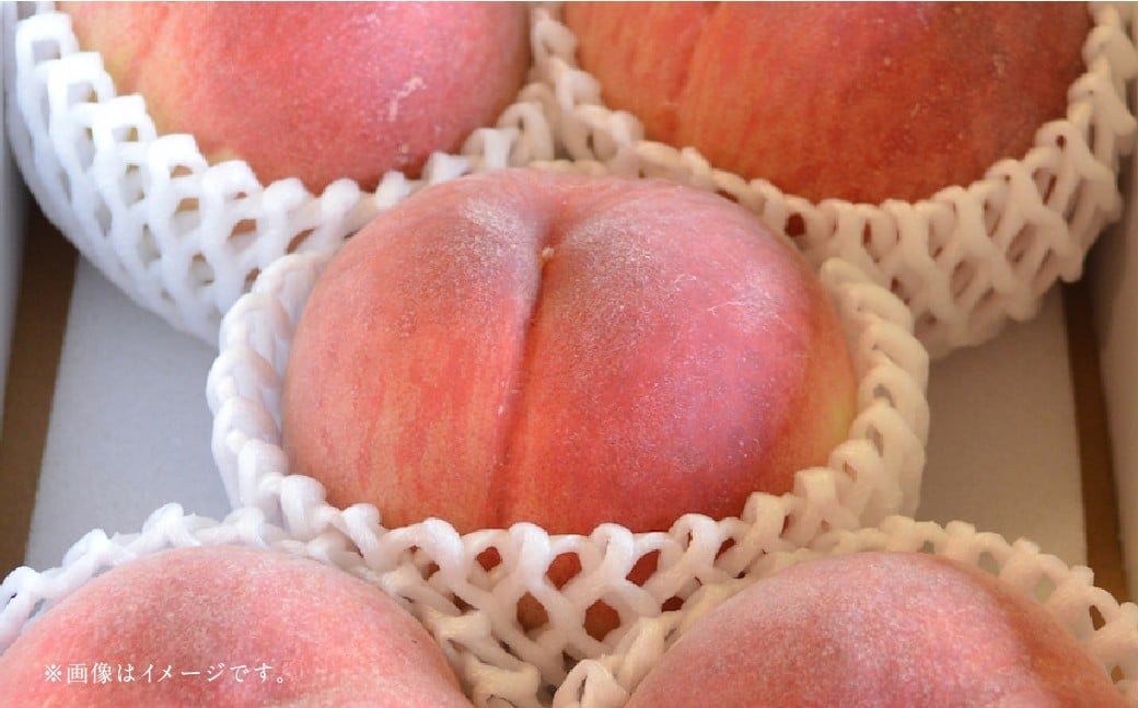 【フルーツ3回定期便】 球磨のいちご 1kg ＋ 桃 1kg ＋ 梨 5kg 【2026年1月中旬〜10月上旬迄順次発送予定】 苺 いちご イチゴ もも モモ なし ナシ 和梨 果物 果実 フルーツ 定期便 九州 熊本県 あさぎり町 冷蔵