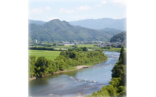 高橋酒造　金しろ・銀しろ本格米焼酎2本セット