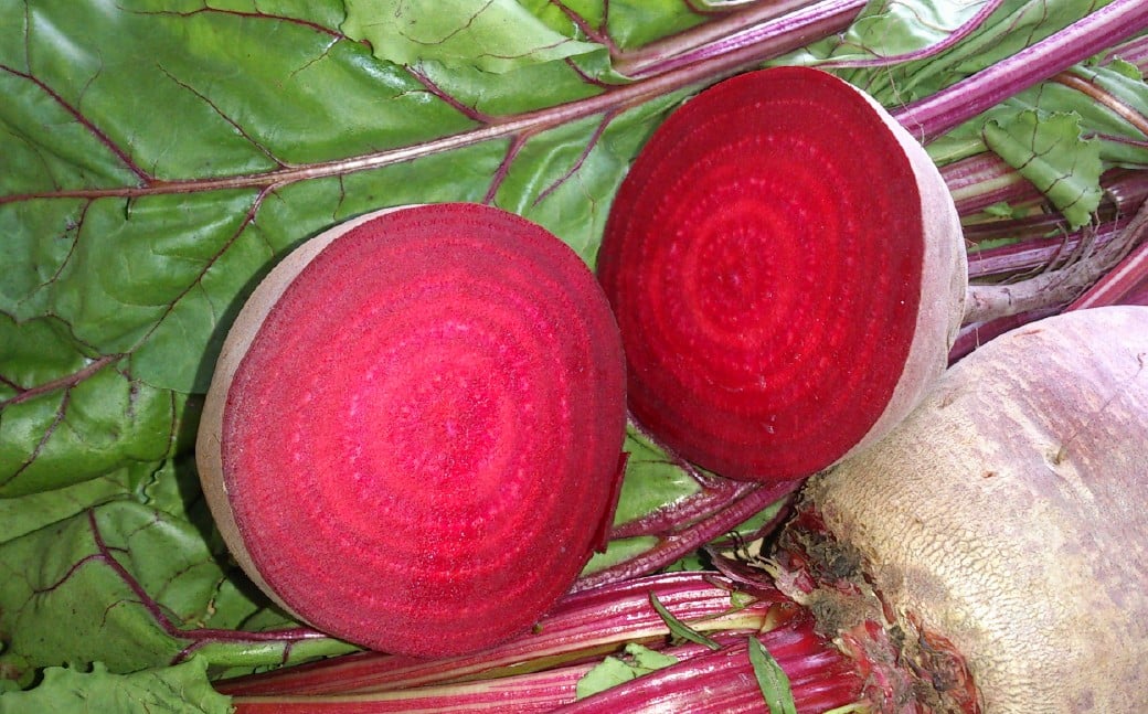 自社農園栽培 生ビーツ2kg ビーツ やさい 野菜 健康 美容 冷蔵 国産 九州 熊本県 あさぎり町