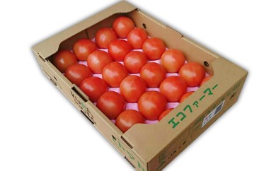 熊本県ＪＡくま産　球磨のトマト 4kg 【先行受付】【2027年1月中旬～3月中旬迄発送予定】