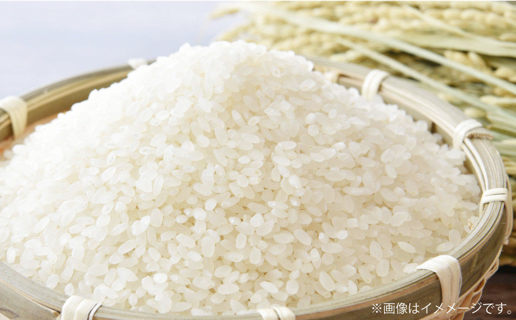 【令和7年産】 特別栽培米ヒノヒカリ （精米） 10kg 予約 新米 ヒノヒカリ 精米 井上農園 米 お米 白米 【2025年10月上旬～12月下旬迄発送予定】