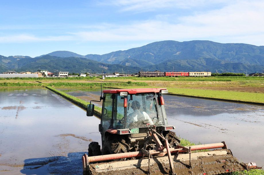 闍・閠縺梧ョ九l繧句豌励↑逕」讌ュ縺梧ッ縺・縺上∪縺。縺・縺上j