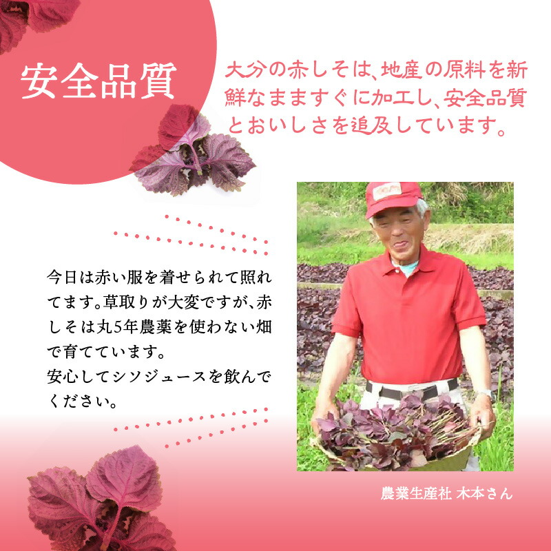 赤しそジュース　加糖タイプ　900ｍｌ×6本