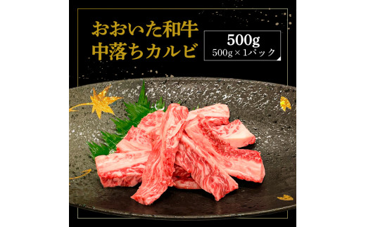 厳選A4〜A5等級 おおいた和牛 中落ちカルビ 500g