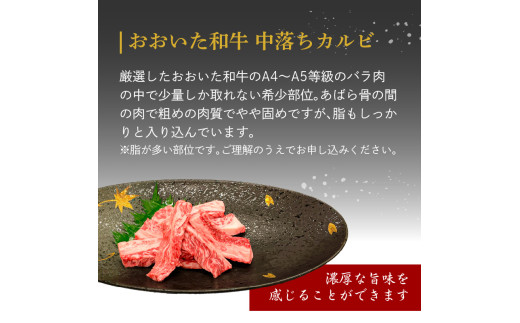 厳選A4〜A5等級 おおいた和牛 中落ちカルビ 500g