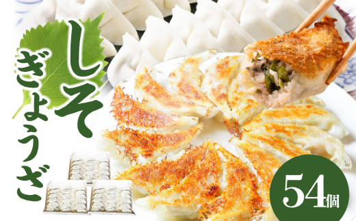 餃子専門店の餃子 しそ餃子 54個入り