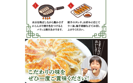 餃子専門店の餃子 しそ餃子 54個入り