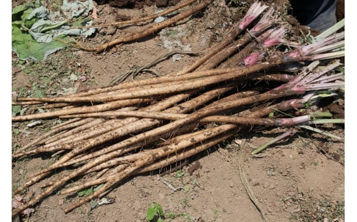 逋ス閧後#縺シ縺闌カD