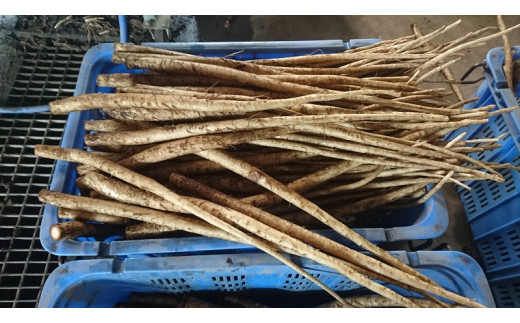 逋ス閧後#縺シ縺闌カF