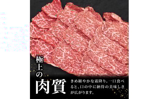 縺翫♀縺縺溷柱迚 荳臥ィョ逶帙j 閧ゥ繝ュ繝シ繧ケ繝サ繧ォ繝ォ繝薙サ襍、霄ォ辟シ閧臥畑 蜷500g 險1.5kg