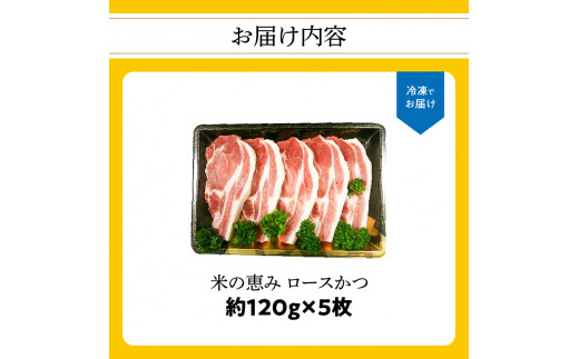 邀ウ縺ョ諱オ縺ソ縲繝ュ繝シ繧ケ縺九▽縲邏120gテ5譫