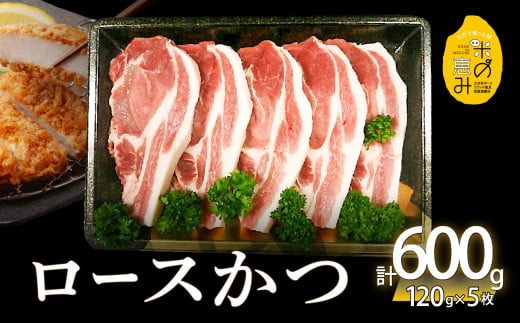 邀ウ縺ョ諱オ縺ソ縲繝ュ繝シ繧ケ縺九▽縲邏120gテ5譫