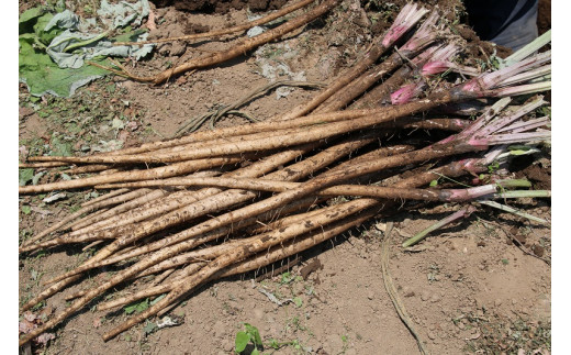 逋ス閧後#縺シ縺闌カF