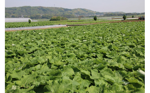 逋ス閧後#縺シ縺闌カF