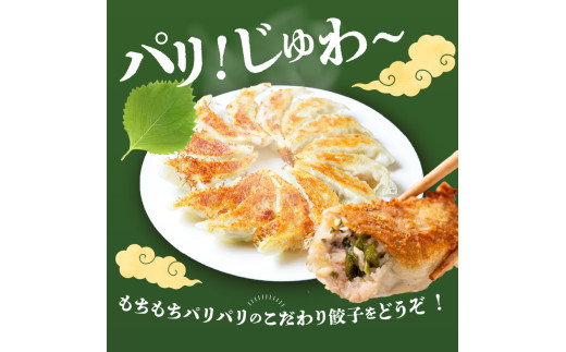 餃子専門店の餃子 しそ餃子 54個入り