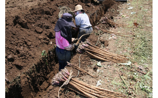 逋ス閧後#縺シ縺闌カF