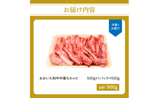 厳選A4〜A5等級 おおいた和牛 中落ちカルビ 500g