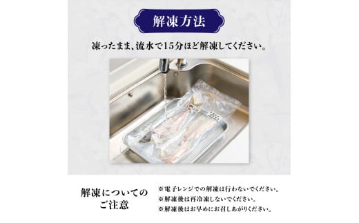 関冷刺　関あじ（大）