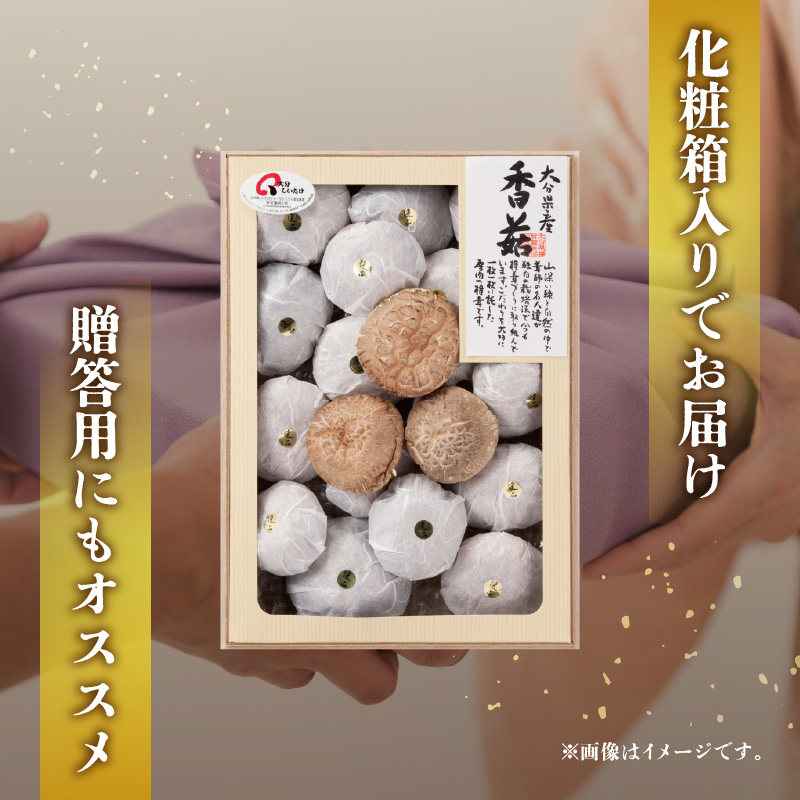 大分県産椎茸 香こ 逸品 IP-B