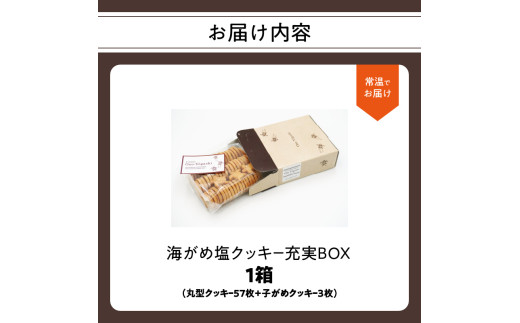 豬キ縺後a蝪ゥ繧ッ繝繧ュ繝シ蜈螳檻OX (57譫+蟄舌′繧√け繝繧ュ繝シ3譫) 邂ア蜈・繧