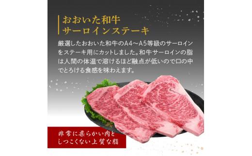 å³éžA4ãA5ççŽ ããããåç ãµãŒãã€ã³ã¹ããŒã 3æ 600g