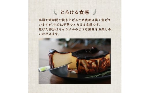 濃厚とろけるバスクチーズケーキ 小麦粉不使用