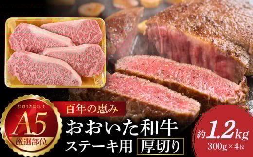 百年の恵み　おおいた和牛A5　ステーキ用厚切り【厳選部位】約1.2kg
