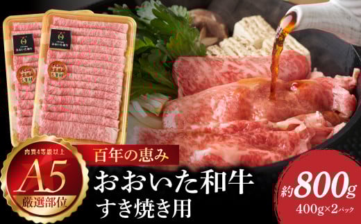 百年の恵み　おおいた和牛A5　すき焼用【厳選部位】約800ｇ