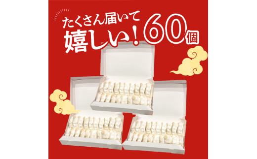 餃子専門店の餃子 将軍餃子 60個
