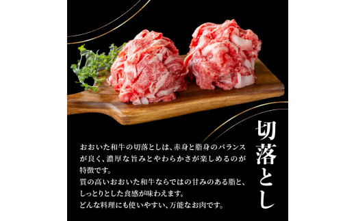 おおいた和牛 切落とし 1.2kg