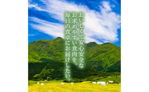 縺翫♀縺縺溯ア雁セ檎央 辟シ閧臥畑 1kg