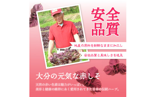 赤しそジュース 加糖タイプ 無糖タイプ 500ｍl×各1本セット