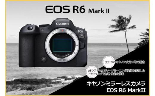 キヤノンミラーレスカメラ EOS R6 Mark Ⅱ・RF24-105 L IS USM レンズキット