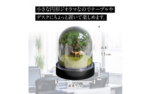 ãã£ã¹ãã¬ã€ãžãªã©ã ãçãã®æ£®âåç©ç·šã