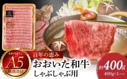 çŸå¹Žã®æµã¿ãããããåçA5ãããã¶ããã¶çšãå³éžéšäœãçŽ400ïœ