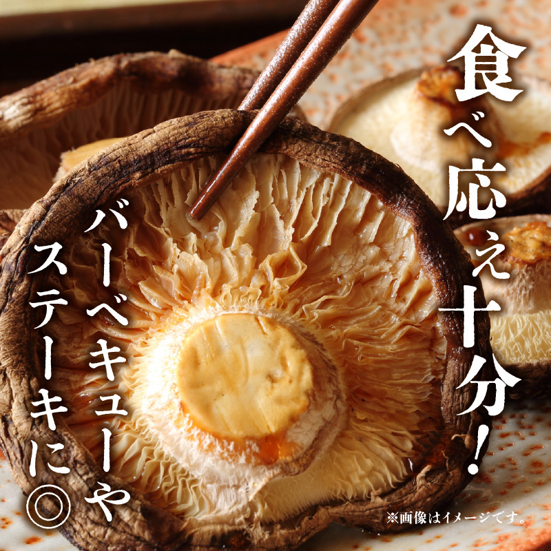 大分県産椎茸 香こ 逸品 IP-B